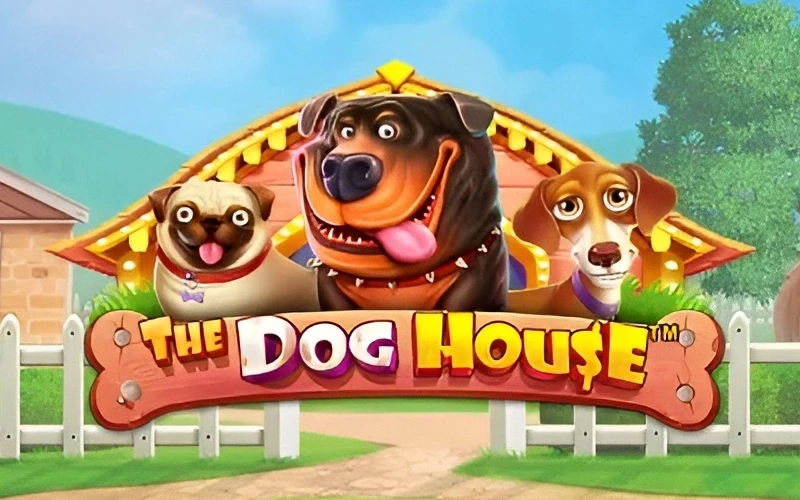 Diviertete con la tragamonedas The Dog House en el casino online Brazino777.